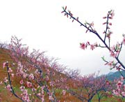 建宁后天天气